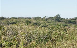 1354 m² Land available in Mount Richmore Estate