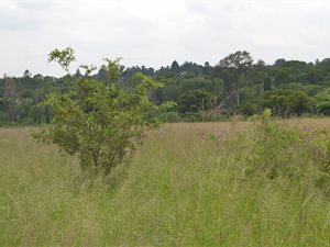 8565 m² Land available in Kyalami AH
