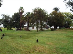 4 Bed House in Cullinan