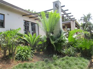 3 Bed House in Mtunzini