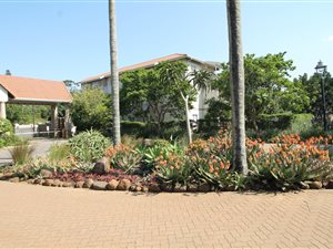 3 Bed House in Ballito