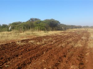 342 ha Farm in Mookgophong (Naboomspruit)