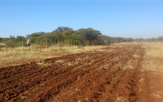 342 m² Farm in Mookgophong (Naboomspruit)
