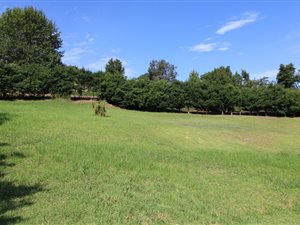 958 m² Land available in Heather Park