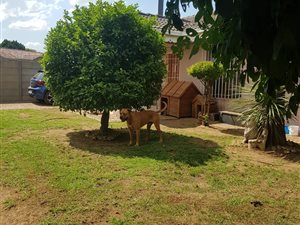 2 Bed House in Minnebron