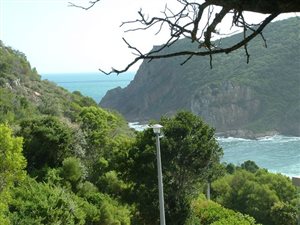1024 m² Land available in The Heads