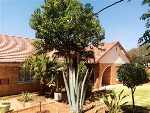 11 Bed House in Hazel Park