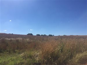 1 ha Land available in Rietvlei View