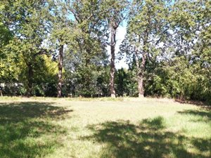 1044 m² Land available in Golden Hill