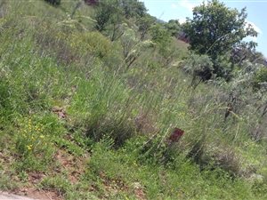 900 m² Land available in Hartbeesfontein