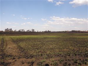 6.5 ha Land available in Donkerhoek