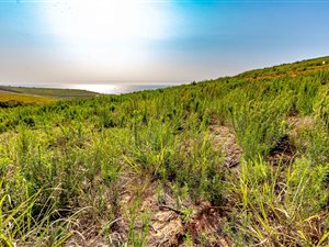 1246 m² Land available in Seaton Estate