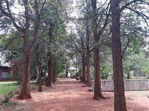 21.4 ha Farm in Mokopane
