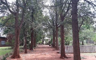 21.4 ha Farm in Mokopane