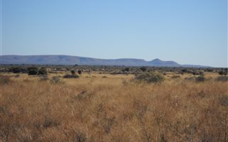 1644 ha Farm in Kuruman