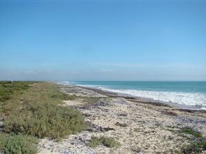 592 m² Land available in Velddrif