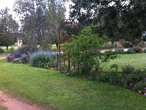 1 ha Farm in Mossel Bay Central