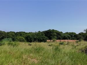 1215 m² Land available in Birdswood