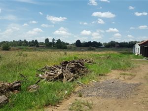 4 ha Land available in Pomona