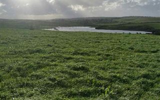 393 ha Farm in East London Central