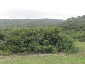 943 m² Land available in Reebok