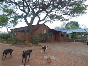 8 ha Farm in Mokopane