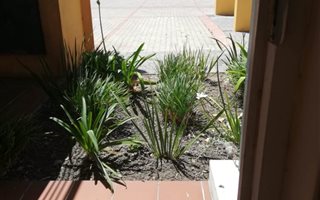 1 Bedroom Apartment in Maitland