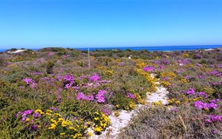 400 m² Land available in Cape St Martin