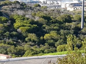 649 m² Land available in Seemeeu Park