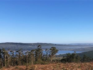 9.5 ha Smallholding in Wilderness