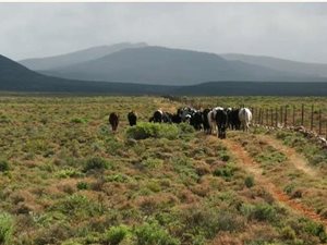 Farm in Vanrhynsdorp