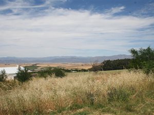 1035 m² Land available in Riebeek West