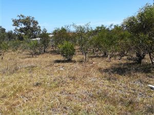 994 m² Land available in Parsons Vlei