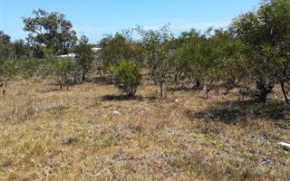 994 m² Land available in Parsons Vlei