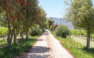 22 ha Farm in Paarl