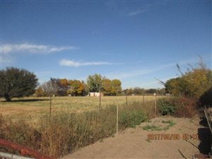 6 ha Farm in Bloemfontein
