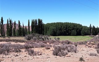 Game Farm in Middelburg