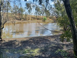 33.4 ha Farm in Leandra