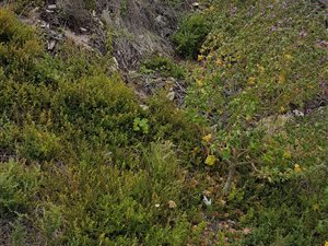 985 m² Land available in Reebok