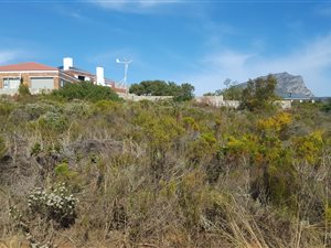 800 m² Land available in Pringle Bay