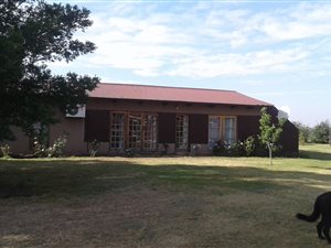 19 ha Farm in Nigel