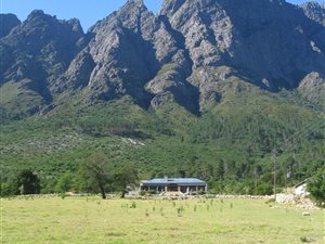 Game Farm in Franschhoek
