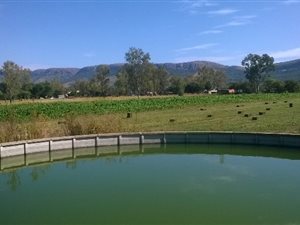 23 ha Farm in Kameeldrift West