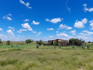 342.6 ha Farm in Zastron