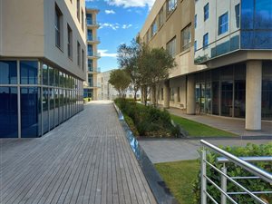 1420 m² Office Space in Rosebank