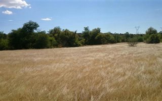 1863 ha Farm in Barkly West