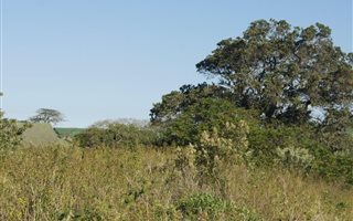 1128 m² Land available in Mount Richmore Estate