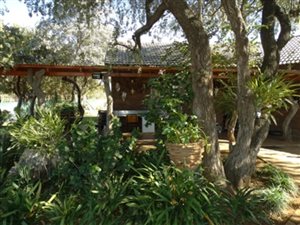 462 ha Farm in Lephalale (Ellisras)
