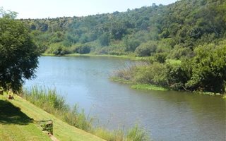 1000 m² Land available in Presidentsrus