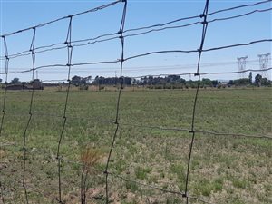 2.1 ha Land available in Buyscelia